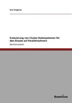 Evaluierung von Cluster-Dateisystemen fur den Einsatz auf Parallelrechnern