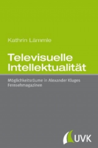 Televisuelle Intellektualität