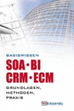 Basiswissen Soa - Bi - Crm - Ecm