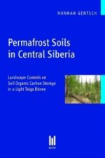 Permafrost Soils in Central Siberia