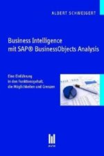Business Intelligence mit SAP® BusinessObjects Analysis