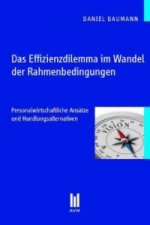 Das Effizienzdilemma im Wandel der Rahmenbedingungen