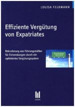 Effiziente Vergütung von Expatriates