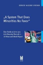 A System That Does Minorities No Favor