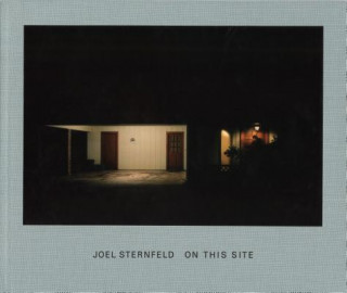 Joel Sternfeld