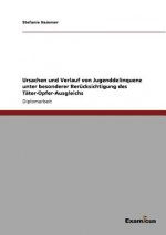 Ursachen und Verlauf von Jugenddelinquenz unter besonderer Berucksichtigung des Tater-Opfer-Ausgleichs