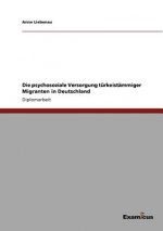 psychosoziale Versorgung turkeistammiger Migranten in Deutschland