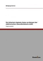 Sicherheit digitaler Daten am Beispiel der elektronischen Gesundheitskarte (eGK)