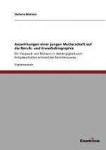 Auswirkungen einer jungen Mutterschaft auf die Berufs- und Erwerbsbiographie