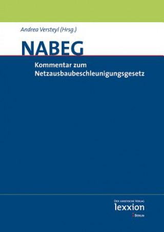 Netzausbaubeschleunigungsgesetz (NABEG) 2012, Kommentar