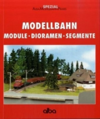 Modellbahn, Module, Dioramen, Segmente