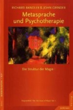 Metasprache und Psychotherapie