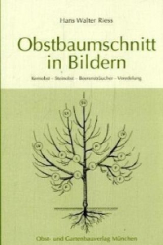 Obstbaumschnitt in Bildern