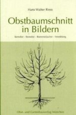 Obstbaumschnitt in Bildern