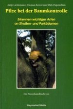 Pilze bei der Baumkontrolle
