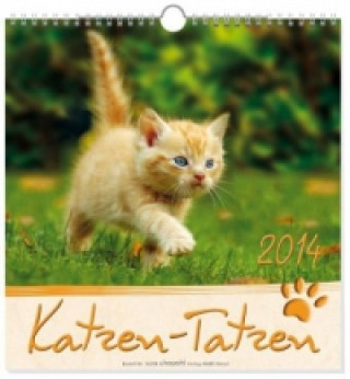 Katzen-Tatzen 2022