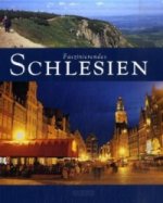Faszinierendes Schlesien