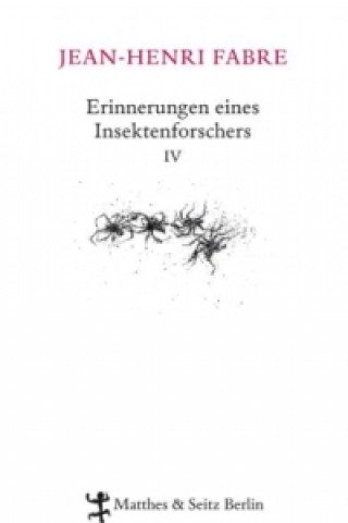 Erinnerungen eines Insektenforschers. Bd.4