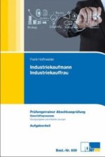 Industriekaufmann/Industriekauffrau, Prüfungstrainer Abschlussprüfung Geschäftsprozesse, 2 Bde.
