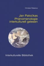 Jan Patockas Phänomenologie interkulturell gelesen