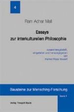 Essays zur interkulturellen Philosophie
