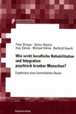 Wie wirkt berufliche Rehabilitation und Integration psychisch kranker Menschen?