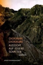 Aussicht auf eigene Schatten, m. 1 Audio-CD