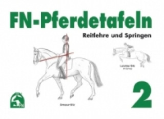 Reitlehre und Springen
