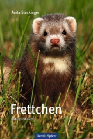 Frettchen