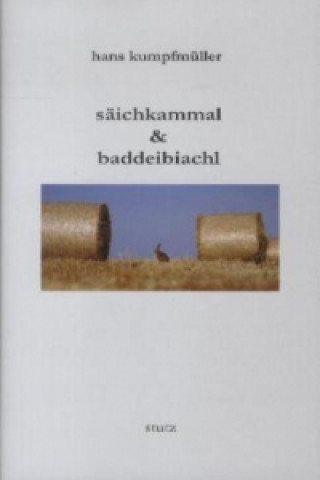 säichkammal & baddeibiachl