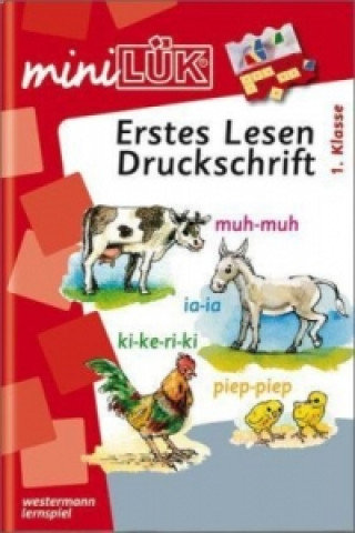 Erstes Lesen, Druckschrift