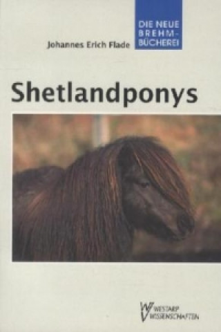 Shetlandponys