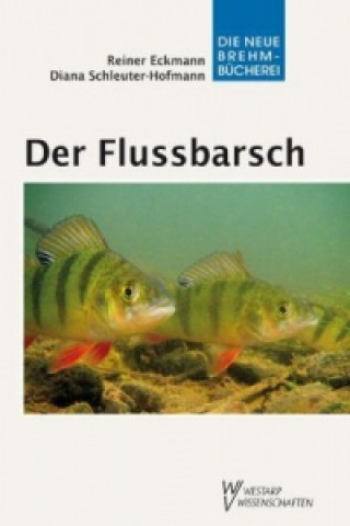 Der Flussbarsch - Perca fluviatilis