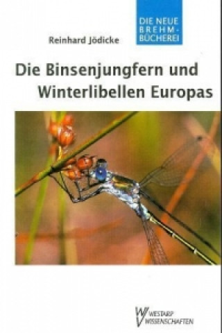 Die Binsenjungfern und Winterlibellen Europas