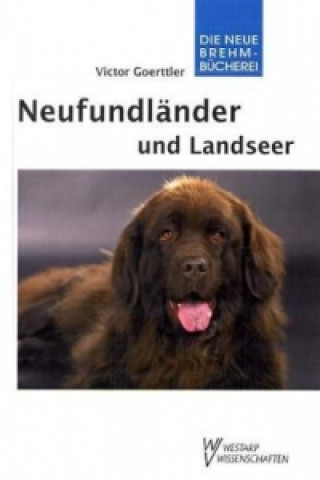 Neufundländer und Landseer