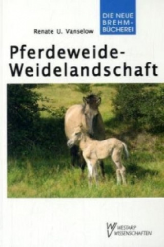 Pferdeweide-Weidelandschaft