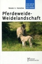 Pferdeweide-Weidelandschaft