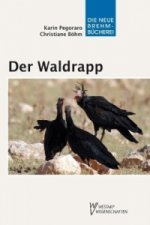 Der Waldrapp