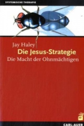 Die Jesus-Strategie