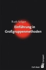 Einführung in Großgruppenmethoden