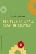 Der plurinationale Staat in Bolivien