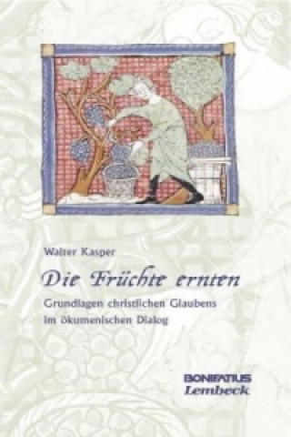 Die Früchte ernten