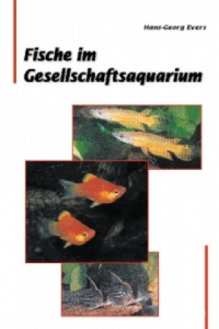 Fische im Gesellschaftsquarium