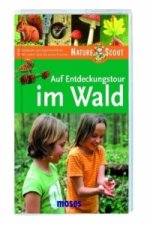 Auf Entdeckungstour im Wald