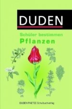 Schüler bestimmen
