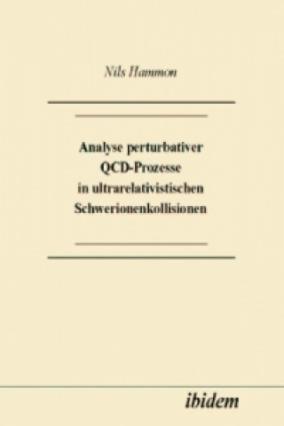 Analyse perturbativer QCD-Prozesse in ultrarelativistischen Schwerionenkollisionen