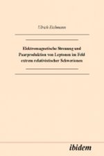 Elektromagnetische Streuung und Paarproduktion von Leptonen im Feld extrem relativistischer Schwerionen