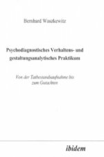 Psychodiagnostisches Verhaltens- und gestaltungsanalytisches Praktikum