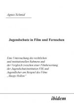Jugendschutz in Film und Fernsehen. Eine Untersuchung des rechtlichen und institutionellen Rahmens und der Vergleich zwischen einer Filmbewertung der