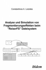 Analyse und Simulation von Fragmentierungseffekten beim 